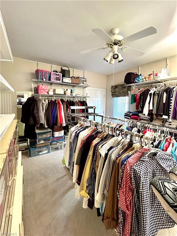 walk in closet featuring carpet and ceiling fan