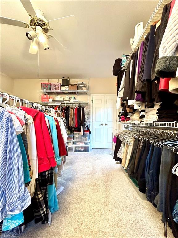 spacious closet with carpet