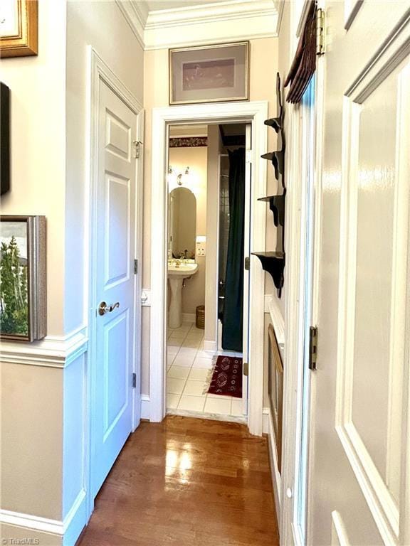 interior space featuring crown molding and dark hardwood / wood-style floors