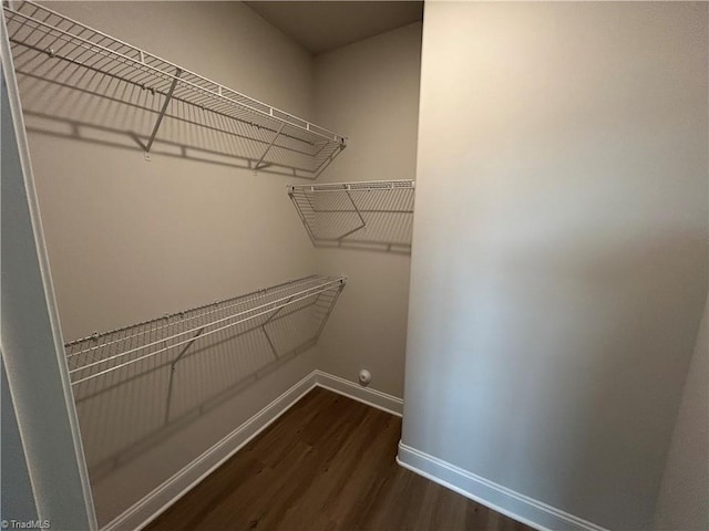 spacious closet with dark wood-type flooring