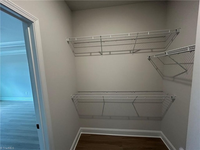 walk in closet with wood-type flooring