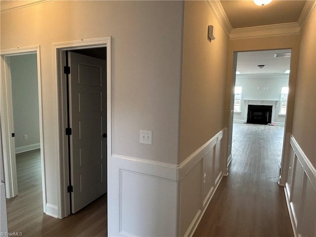 hallway with crown molding and dark hardwood / wood-style floors