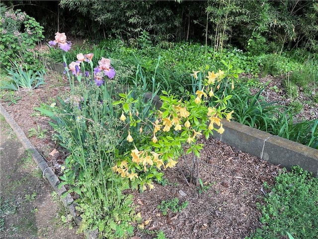 exterior details with a garden