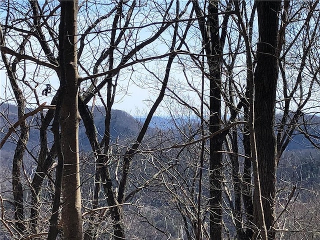 TBD Rhododendron Rd, Hillsville, VA 24343