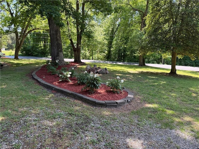 view of grassy yard