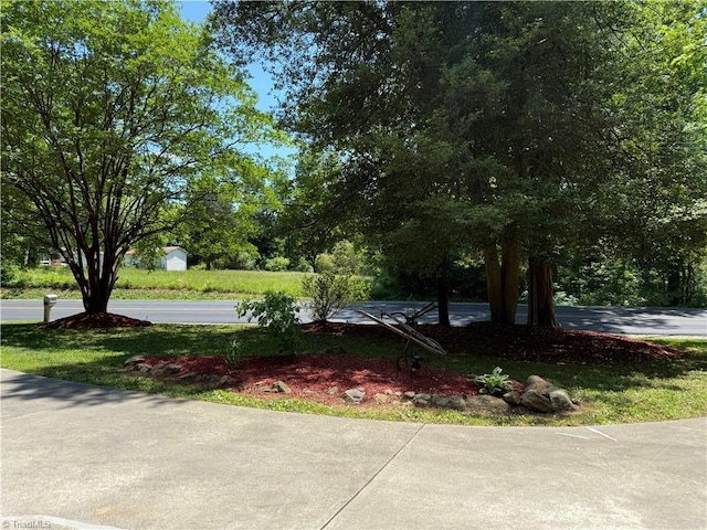 view of yard with view of wooded area