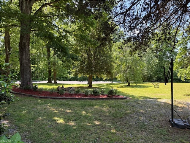 surrounding community featuring a yard