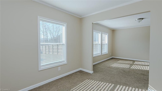 carpeted spare room with crown molding