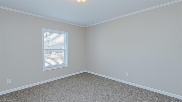 unfurnished room featuring crown molding and carpet floors