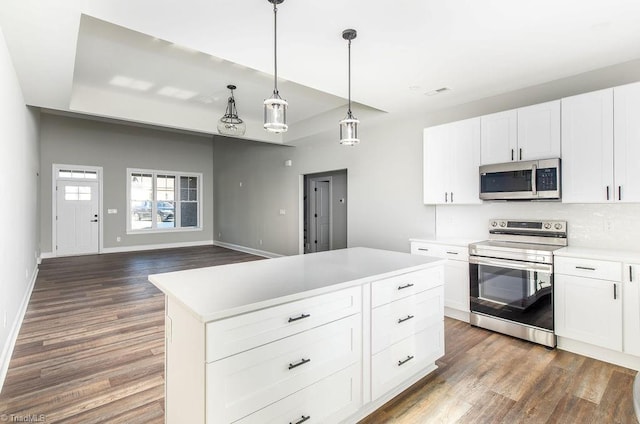 112 Emerald Ct, Trinity, NC 27370 - kitchen with stainless steel appliances, dark wood-type flooring, light countertops, and pendant lighting