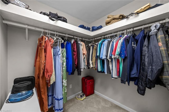 202 Stokes Forest Dr, King, NC 27021 - spacious closet featuring carpet