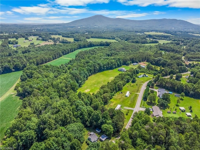 1093 Gordon Rd, Pinnacle, NC 27043 - drone / aerial view of mountains