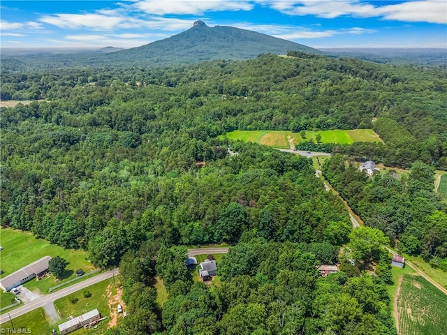 1093 Gordon Rd, Pinnacle, NC 27043 - drone / aerial view of a heavily wooded area and mountains