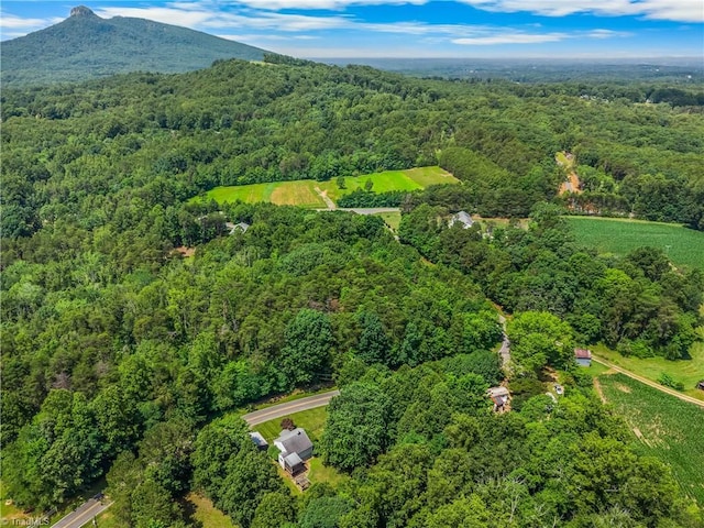 1093 Gordon Rd, Pinnacle, NC 27043 - aerial view of property's location with a heavily wooded area and a mountain backdrop
