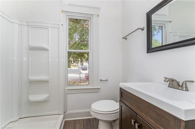 bathroom featuring toilet, vanity, and hardwood / wood-style flooring