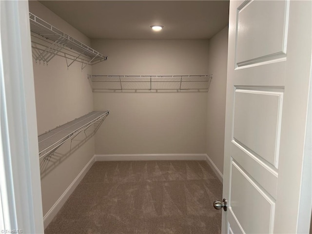 spacious closet featuring dark colored carpet