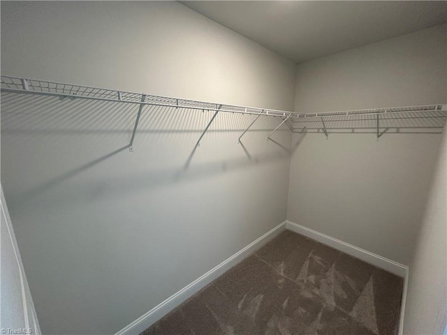 spacious closet featuring dark carpet