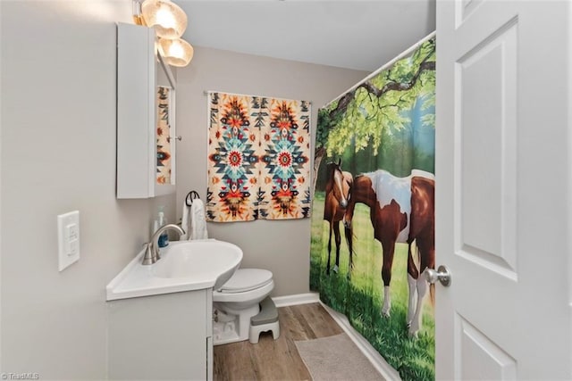 151 N Shore Dr, Lexington, NC 27292 - bathroom featuring vanity, baseboards, toilet, and wood finished floors