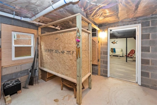 151 N Shore Dr, Lexington, NC 27292 - unfinished basement with concrete block wall