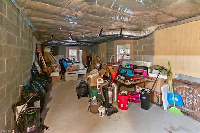 151 N Shore Dr, Lexington, NC 27292 - below grade area with concrete block wall