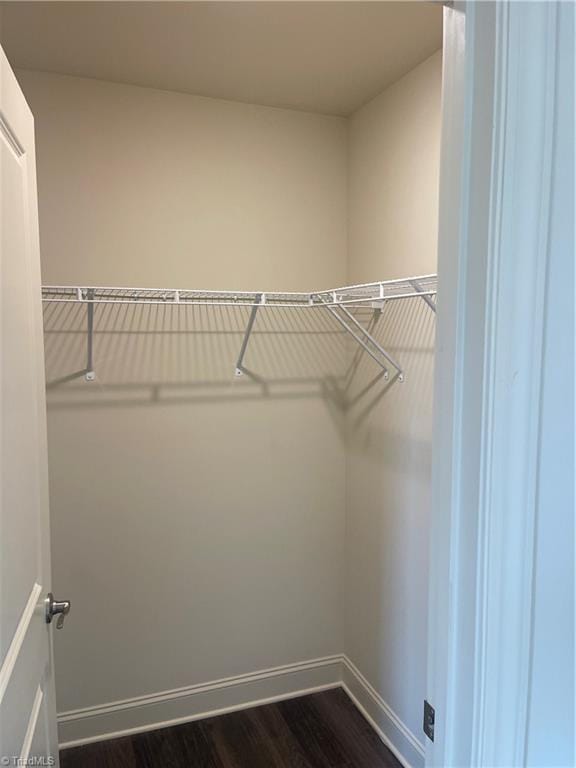 spacious closet featuring dark hardwood / wood-style floors