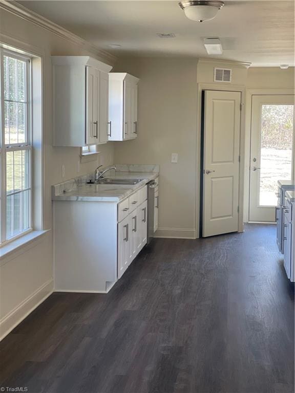 kitchen with sink, dark wood-type flooring, ornamental molding, white cabinets, and stainless steel dishwasher