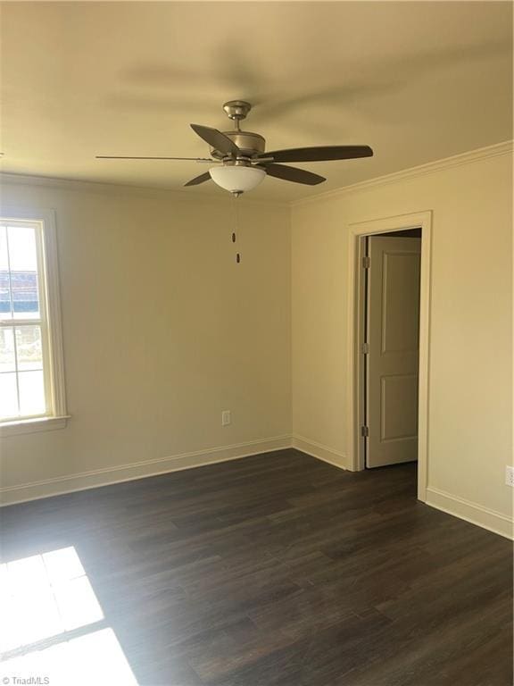 spare room featuring ornamental molding, dark wood-type flooring, and ceiling fan