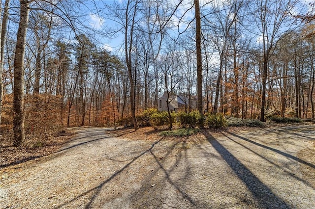 view of road featuring driveway