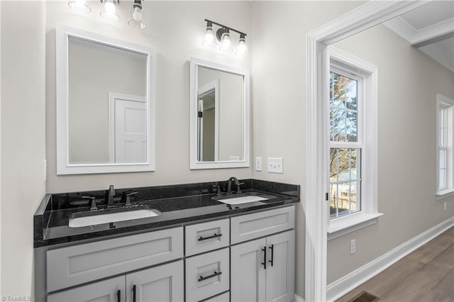 bathroom featuring hardwood / wood-style floors, vanity, and a wealth of natural light