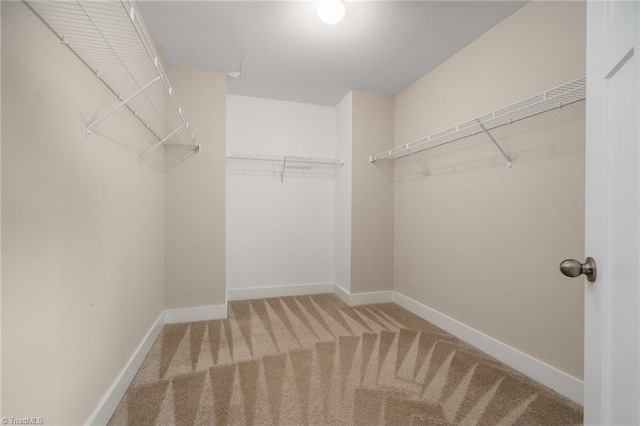walk in closet featuring carpet