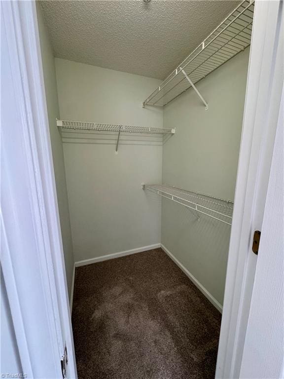 733 Rivertree Ln, Winston-Salem, NC 27103 - spacious closet with carpet flooring