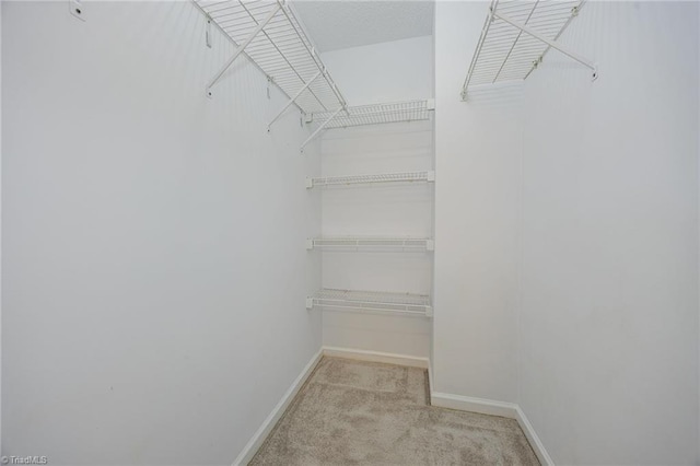 walk in closet with light carpet