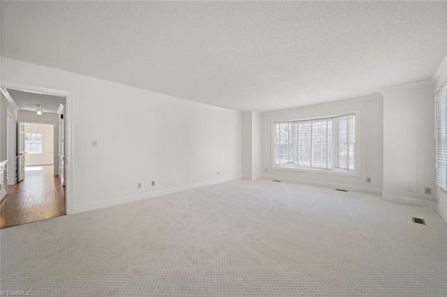 spare room with crown molding, light colored carpet, and a textured ceiling