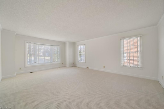 spare room with crown molding, light carpet, and a textured ceiling