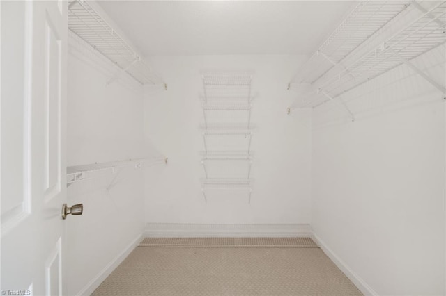 view of spacious closet