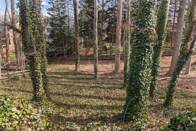 view of local wilderness