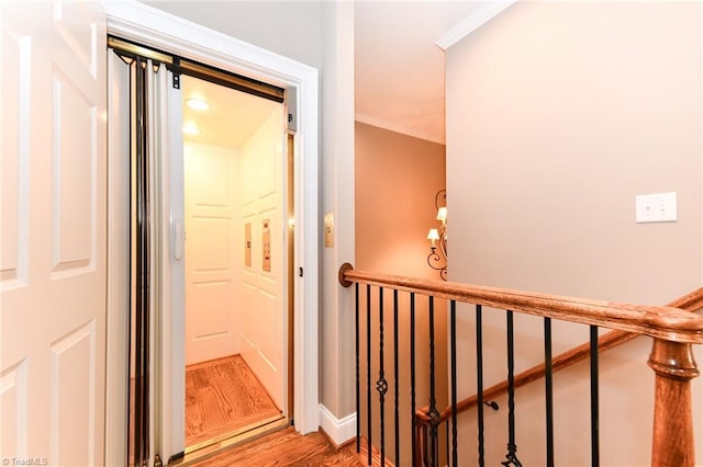 hallway featuring crown molding and hardwood / wood-style floors