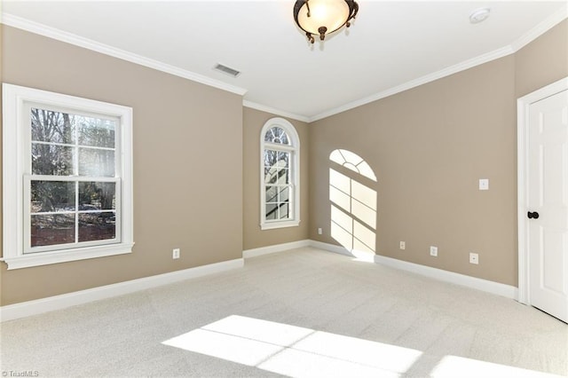 spare room featuring ornamental molding and carpet floors