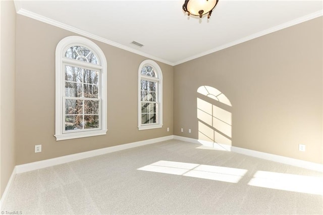 carpeted spare room featuring crown molding