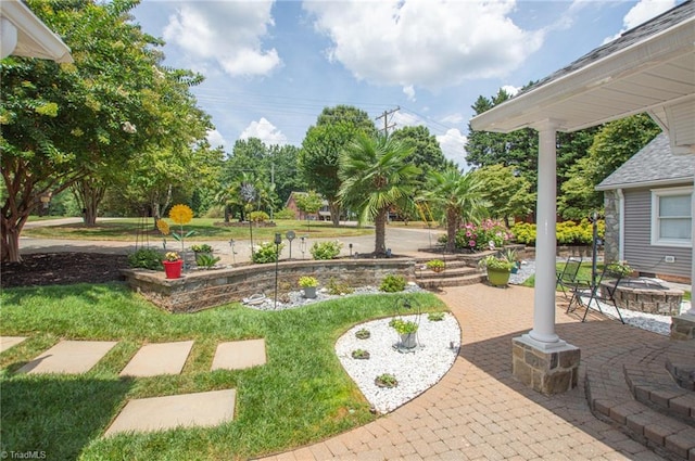 view of yard featuring a patio