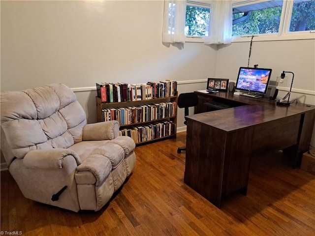 office with wood-type flooring