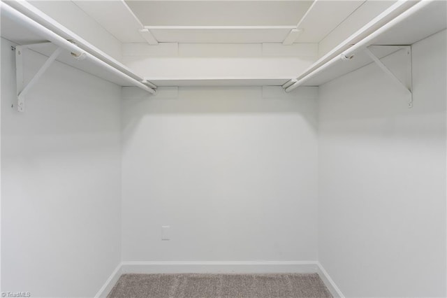 4105 Oak Hollow Dr, High Point, NC 27265 - walk in closet featuring carpet flooring