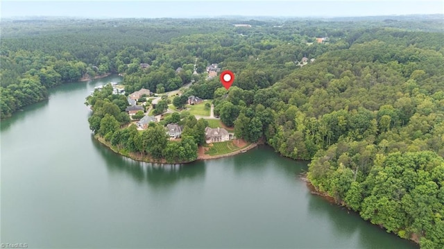 7672 Crossing Ridge Dr, Belews Creek, NC 27009 - bird's eye view of a large body of water