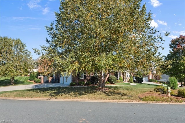 obstructed view of property with a front yard