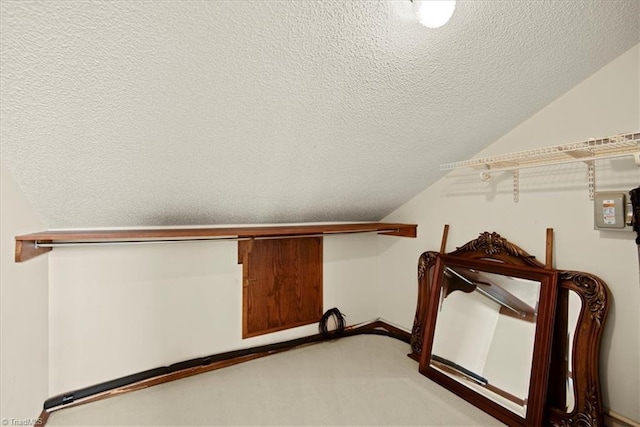 spacious closet featuring carpet and vaulted ceiling