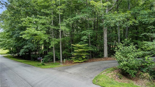 4008 Windspray Loop, Summerfield, NC 27358 - view of asphalt street featuring a view of trees