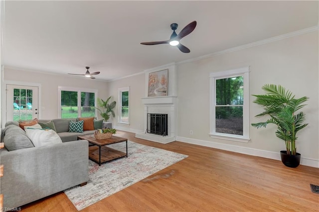 4008 Windspray Loop, Summerfield, NC 27358 - living room with a ceiling fan, ornamental molding, wood finished floors, and a fireplace with raised hearth