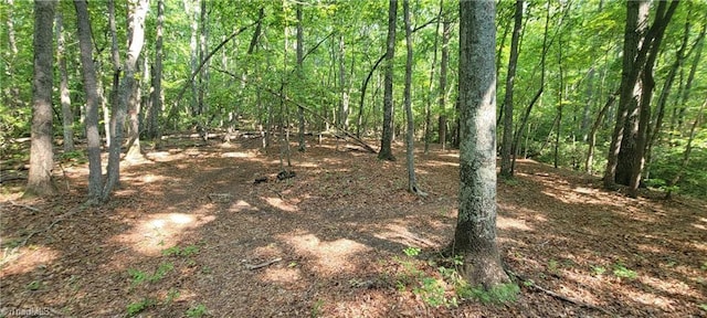 00 E Pine St, Mount Airy NC, 27030 land for sale