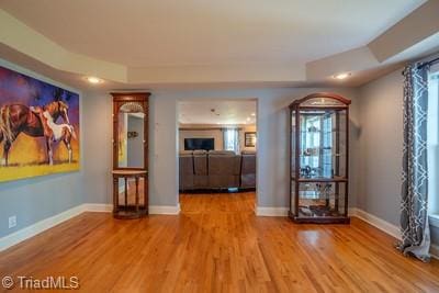 spare room featuring light wood-type flooring and a raised ceiling