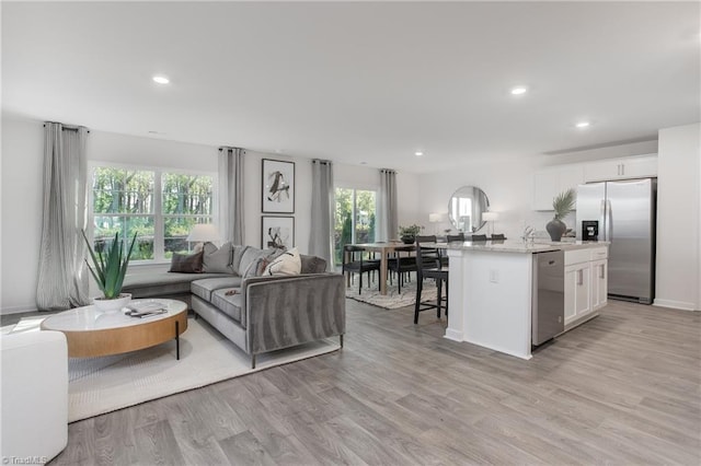 living room featuring light hardwood / wood-style flooring